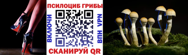 Псилоцибиновые грибы прущие грибы  как найти наркотики  Мышкин 